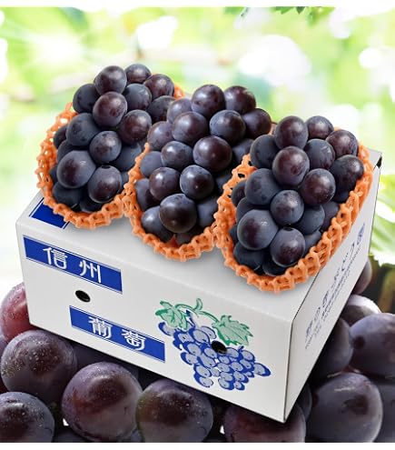 Amazon.co.jp: ぶどう 巨峰 1kg 山形県庄内産 庄内の恵み屋 : 食品